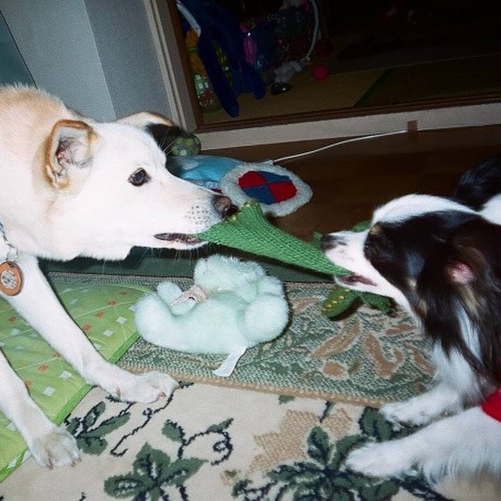 22cf32ea e41f 4539 bb07 56afcc39e703