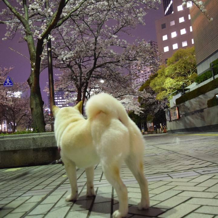 22cfc5f3 60e0 4765 9b5b 0d4e4c4238c9