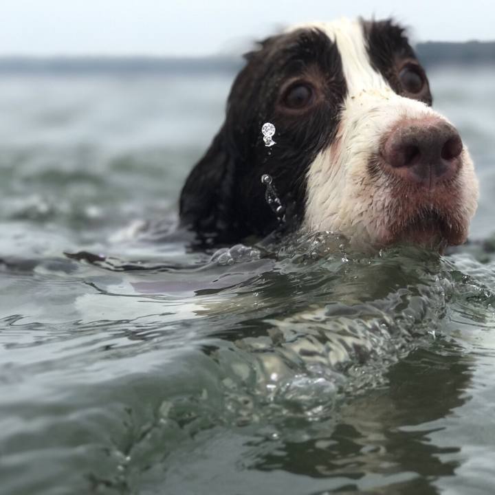 22cfcf8e 88e5 41de b0a8 f4784ecdea07