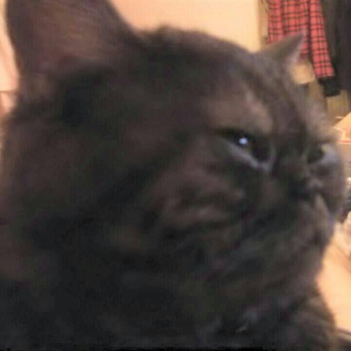 22d0264e 1d09 4f6d 9784 4a09973ef633