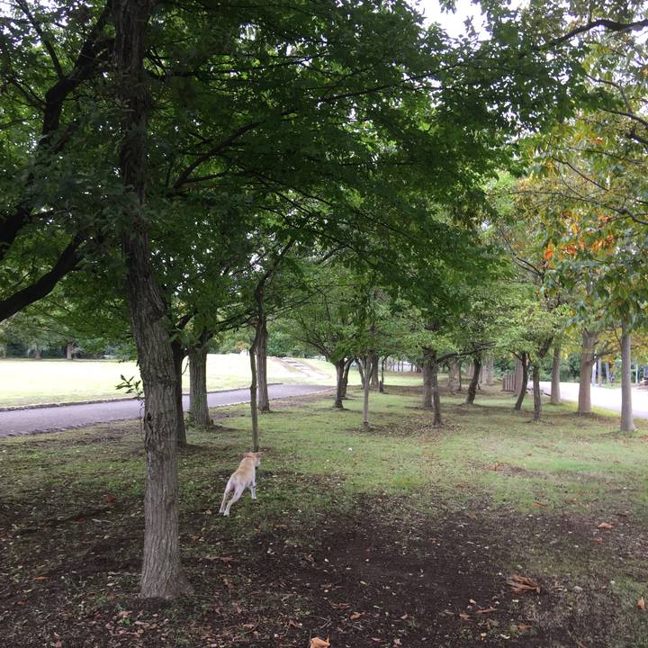 22d0506b f815 4b43 bb96 47975f9c6eab