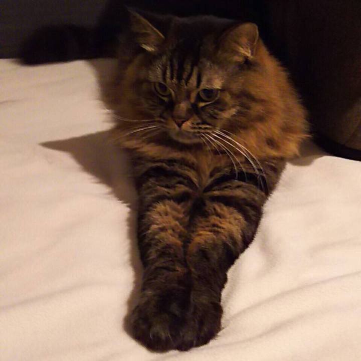 22d0a111 01ee 478a afa2 069d1d882f8e