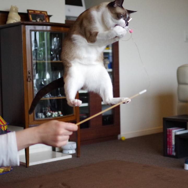 22d183ef 5ca4 4136 8686 2f0903d49464