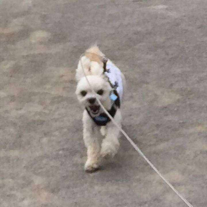 22d19877 850a 4ade aaa3 ce95ecd0c4dd