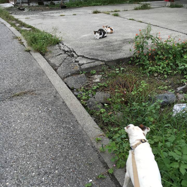 22d1b04c 0b29 4232 93b4 bd57c96a1974