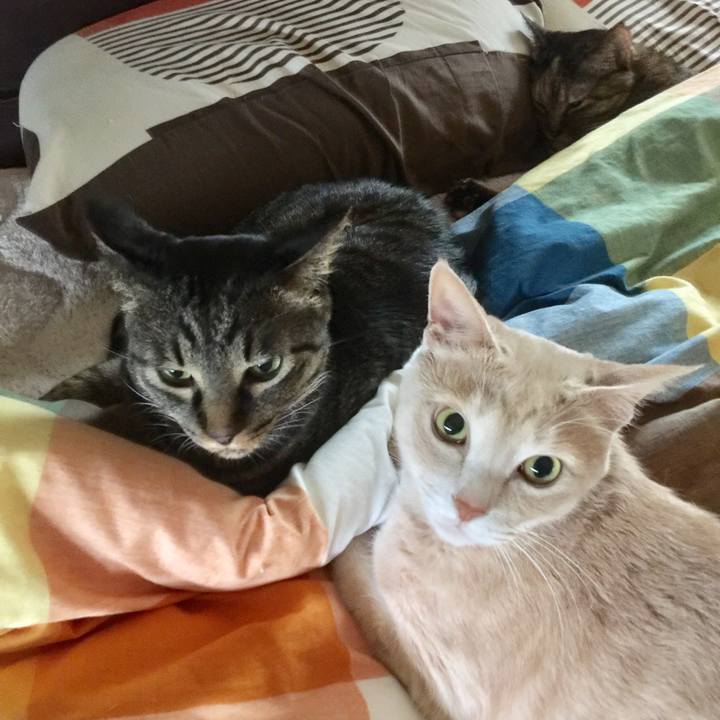 22d1bbae 9da9 4c02 b1d2 2679841fb029