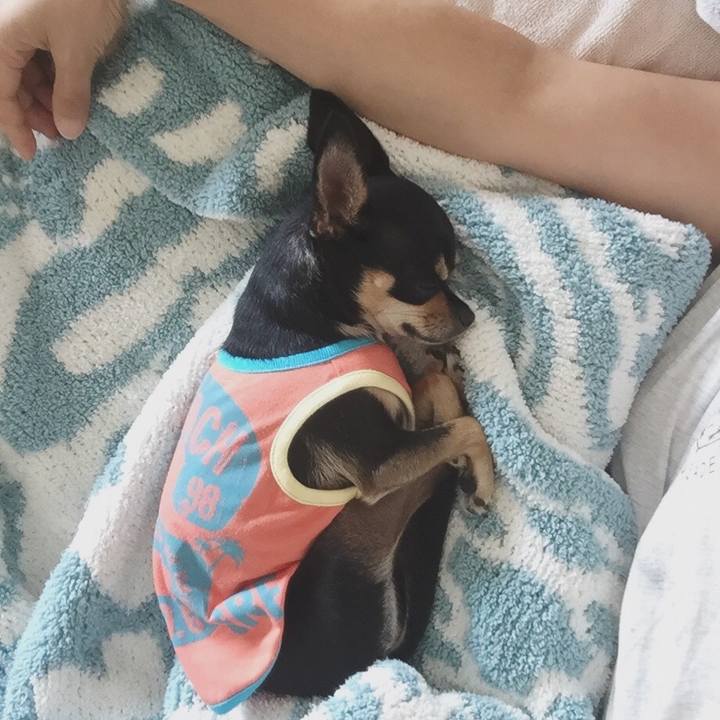 22d1d0cb e00f 4181 acd1 6a3e48a5b073