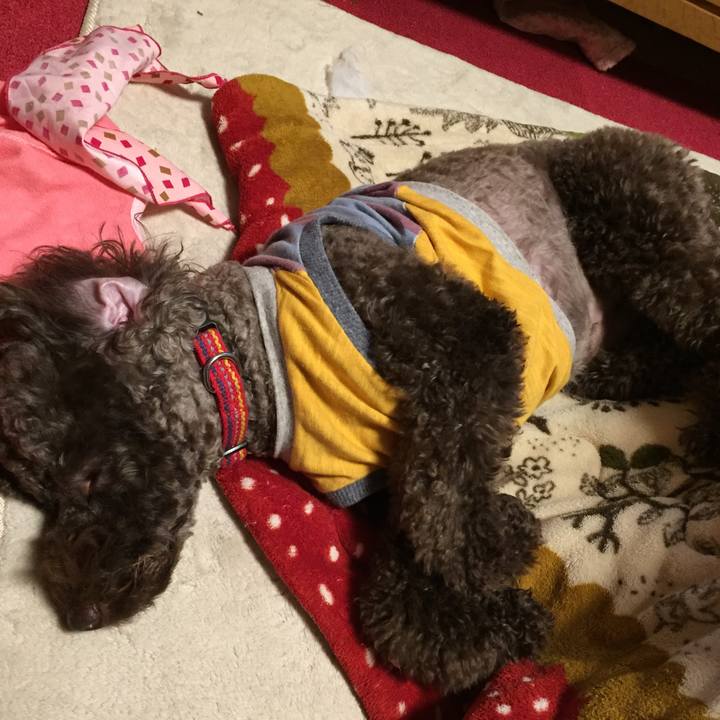 22d20cb1 33ee 498c b9fd 7d43ca39d97f