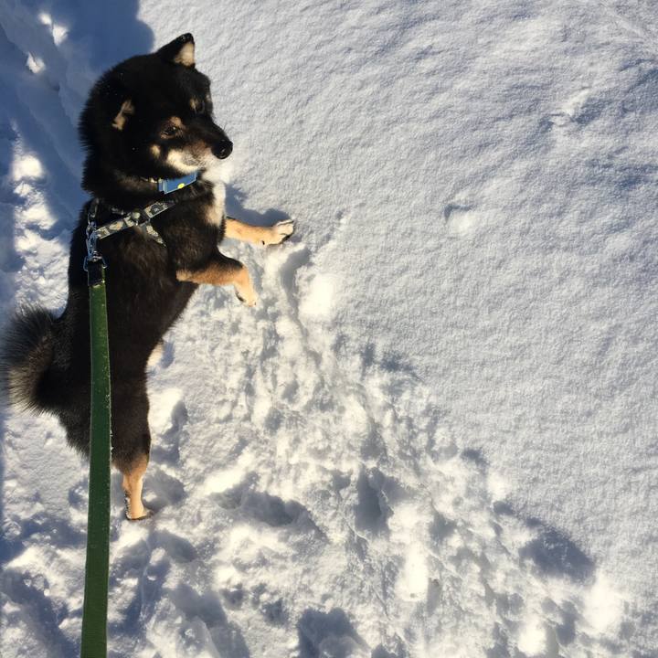 22d248b5 b9e2 40d1 b7ce 058016f77841