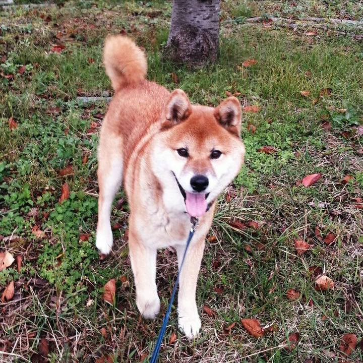 22d2bb4a 6c72 4c70 9421 081f01abcdf2