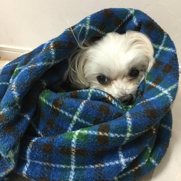 22d320ec c960 41f5 ab8f 97038b8ad220