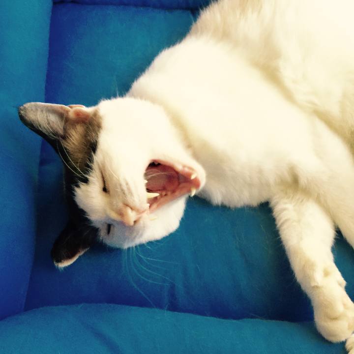 22d36d6e dc72 4018 9ca6 d60b0635e1cb