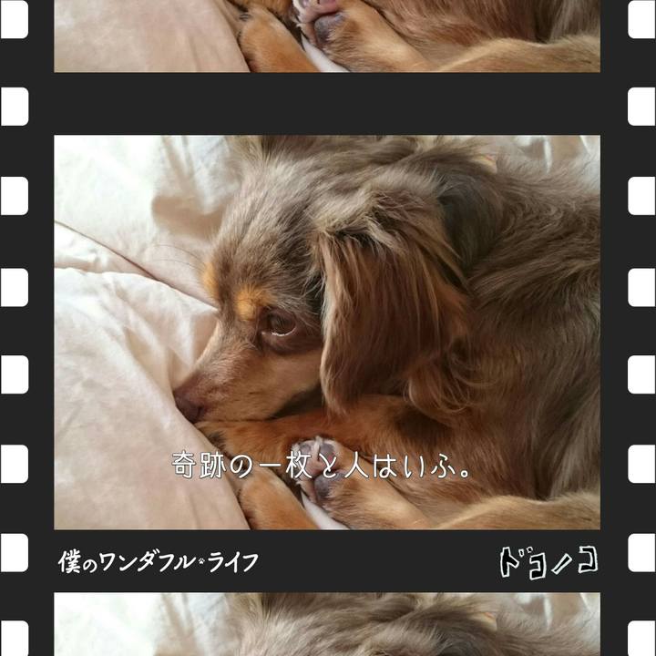 22d3bd0d aff5 4c96 b33c 16dff3897ae3