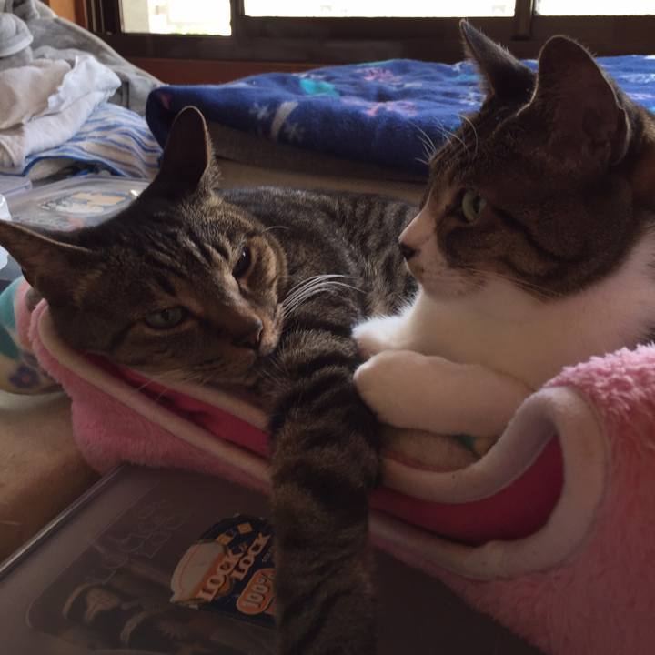 22d3becc 2082 4fc9 b6a6 0d07f101c862