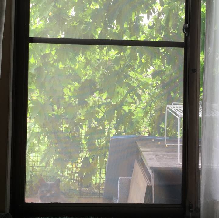 22d41232 5c56 4120 8d5b 435de6048b31