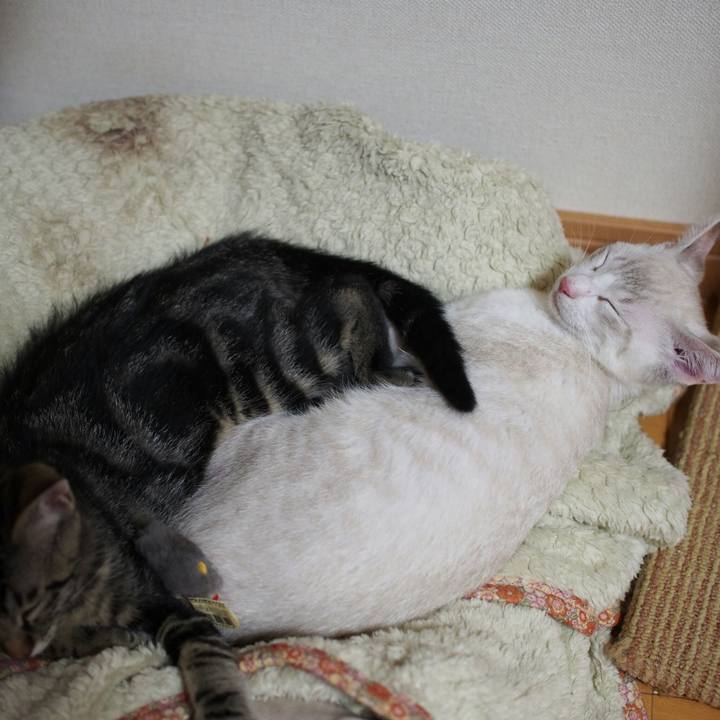 22d4801e 9610 4e17 a6e8 6e0c10af0da2