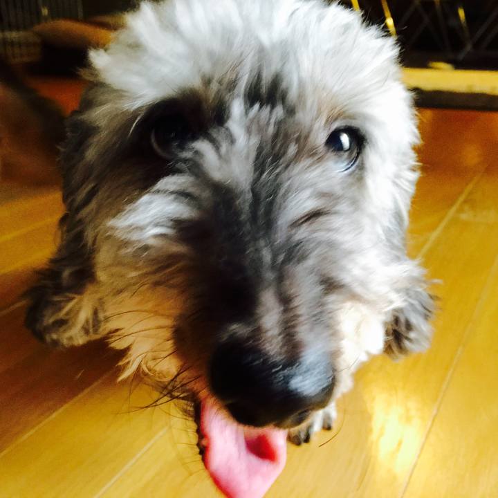 22d53b22 aba3 419f b018 e692226c267b