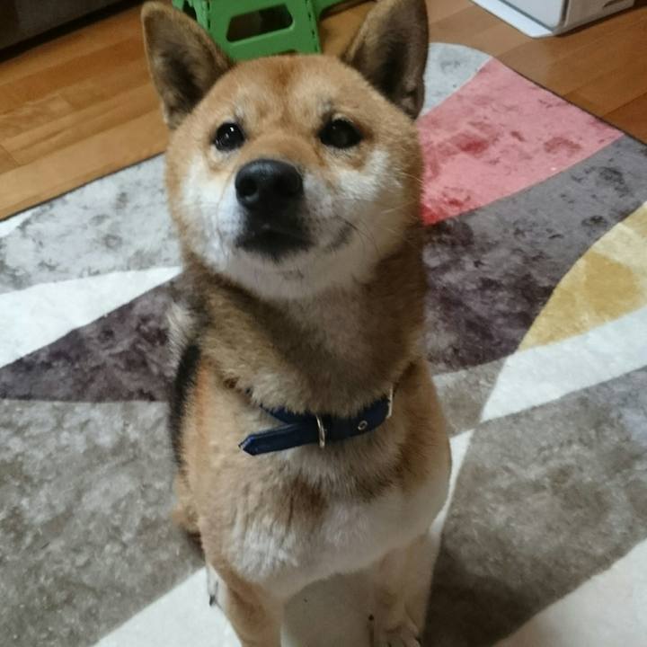 22d5b659 0d12 4322 91ff 238b9339da7f