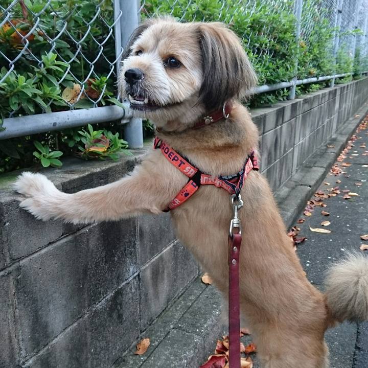 22d61672 fa5e 44eb ac45 45b3e982946f