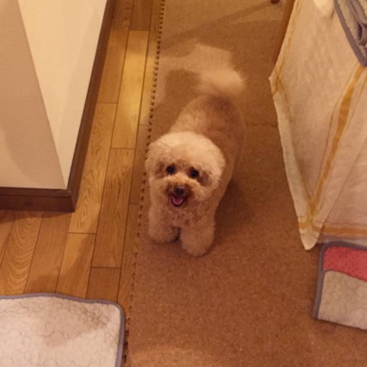 22d65ba0 35d2 4863 89bb 7d97fa7eabc7