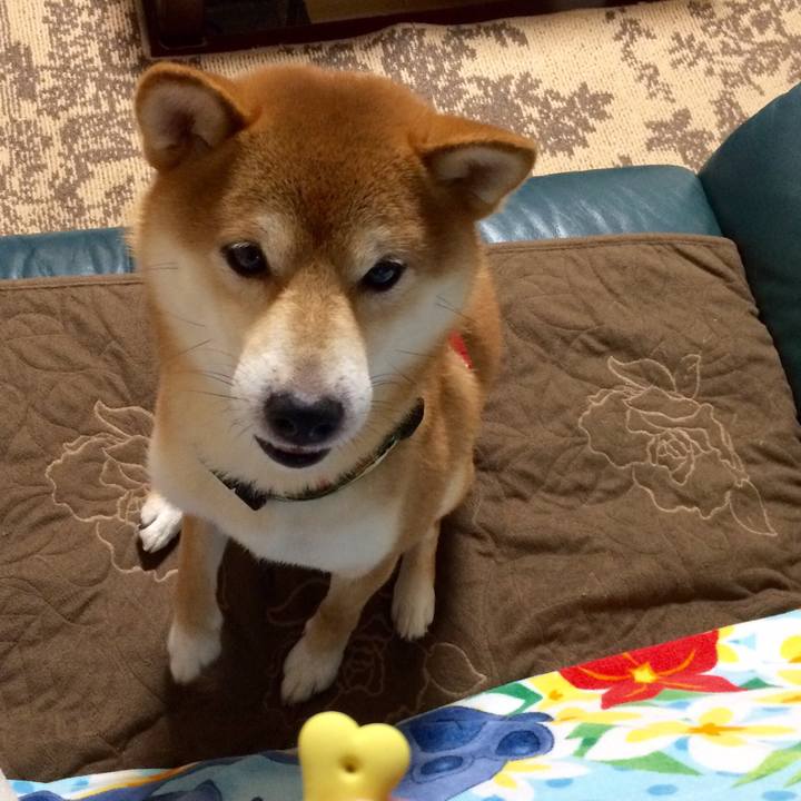 22d71f1b 477d 4247 b7d8 d1c3fc1fc7c3