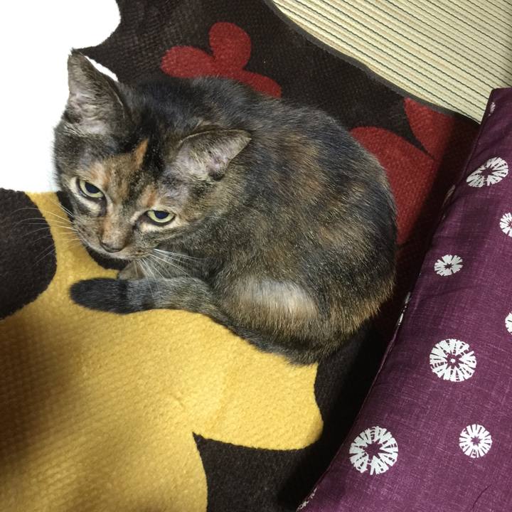 22d72c02 9169 4e0b 82f3 cbc0ccf79ca8