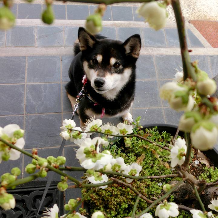 22d7fa7a 3c29 4cb3 a5e4 5f15ef91b025