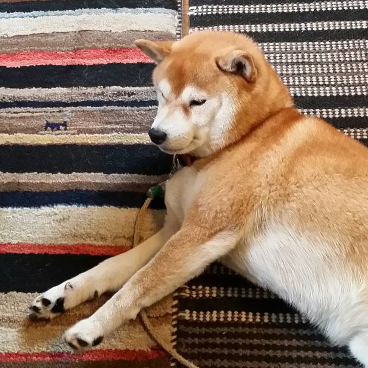 22d88821 699e 41e7 b35e fd388d8c0de3