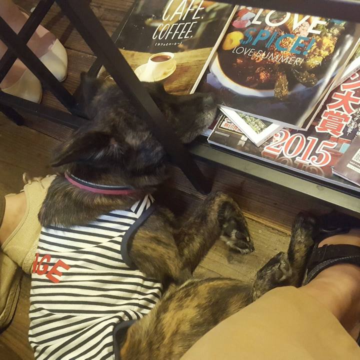 22d90577 ba03 4a89 b2fd 525d26d84065