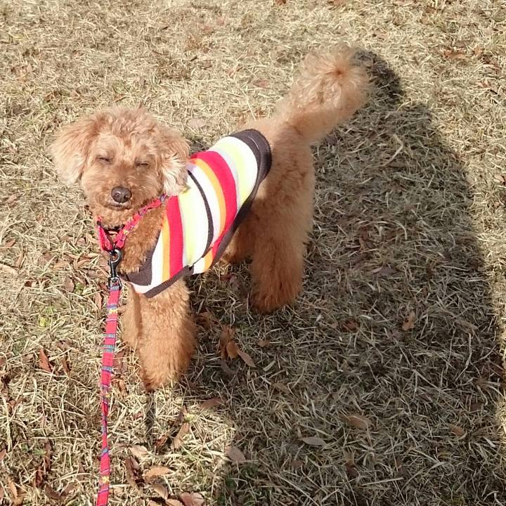 22d93625 0593 4123 a66a 4a6f841edf81