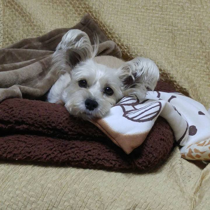 22d94fbf 2424 4d01 9d8d 49f8b565fbb3