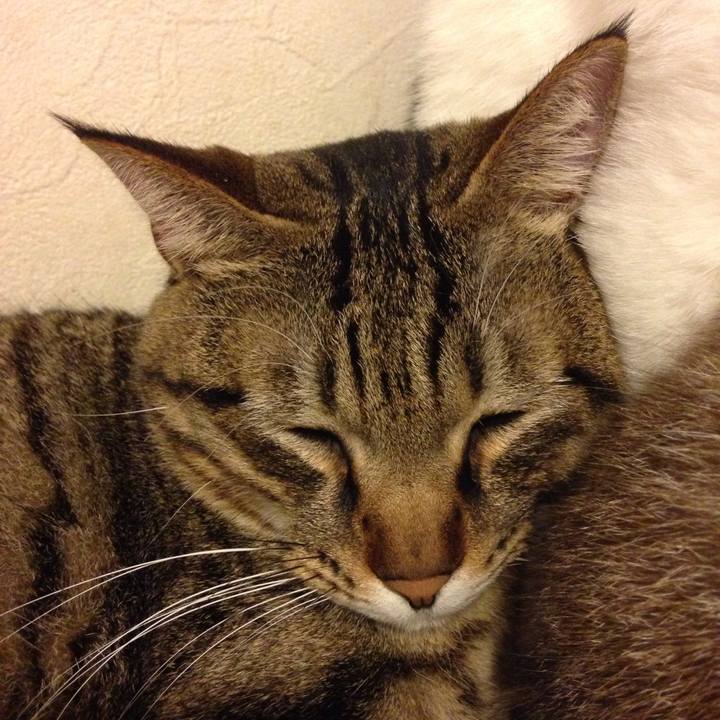 22d968d6 36f5 4221 a8c4 85d5b8abd2e0