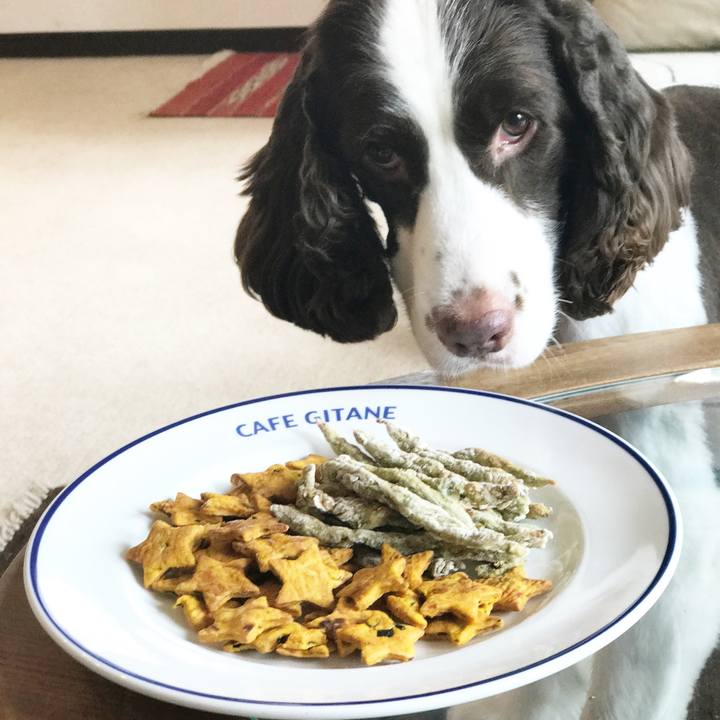 22d99ba9 6a32 4f92 94db 54b4b365e3b1