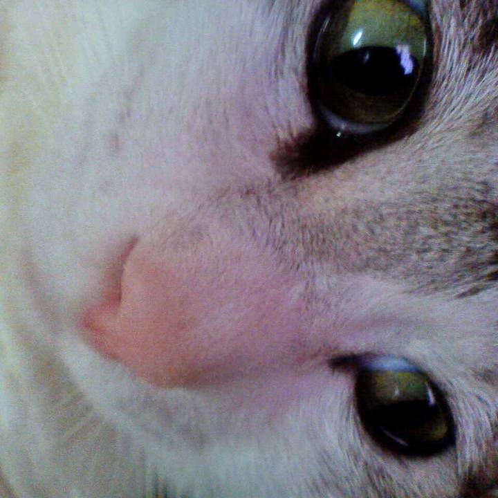 22db1538 c3c8 4a71 b165 b971972d9f06