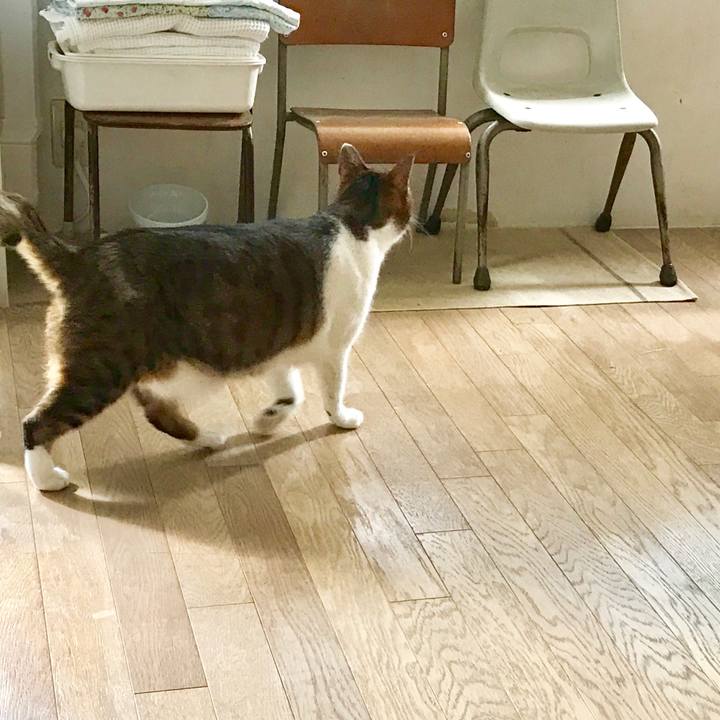 22db7de4 62a5 4e6a 8097 d492d5ccafe0