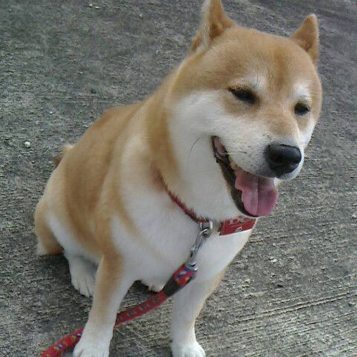 22db8a5e 4149 4939 9016 6d7bb0ff01f2