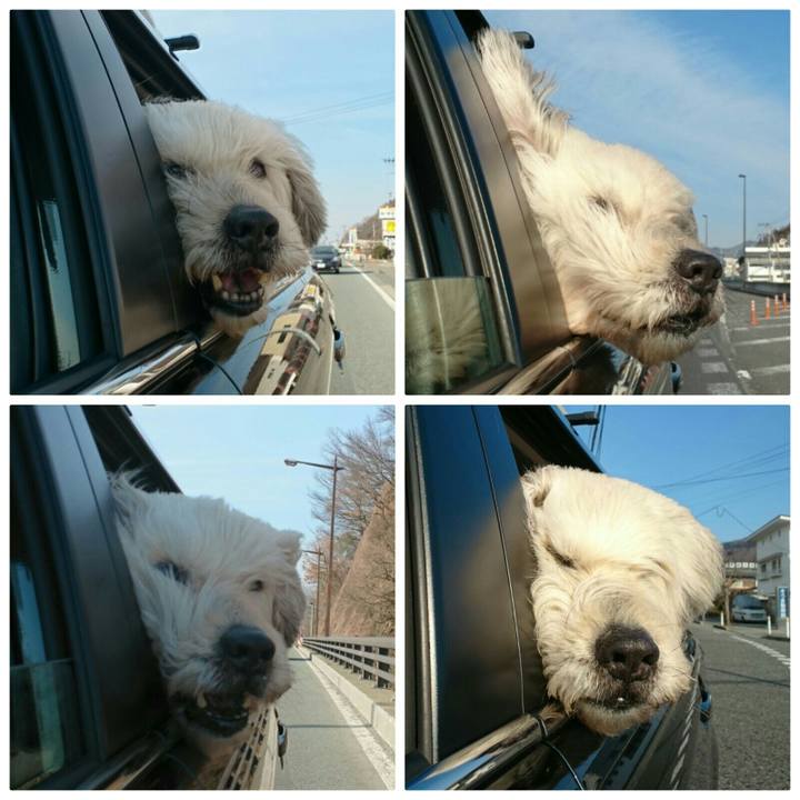 22db8f8e 1599 4512 a679 bc644fb5a5db