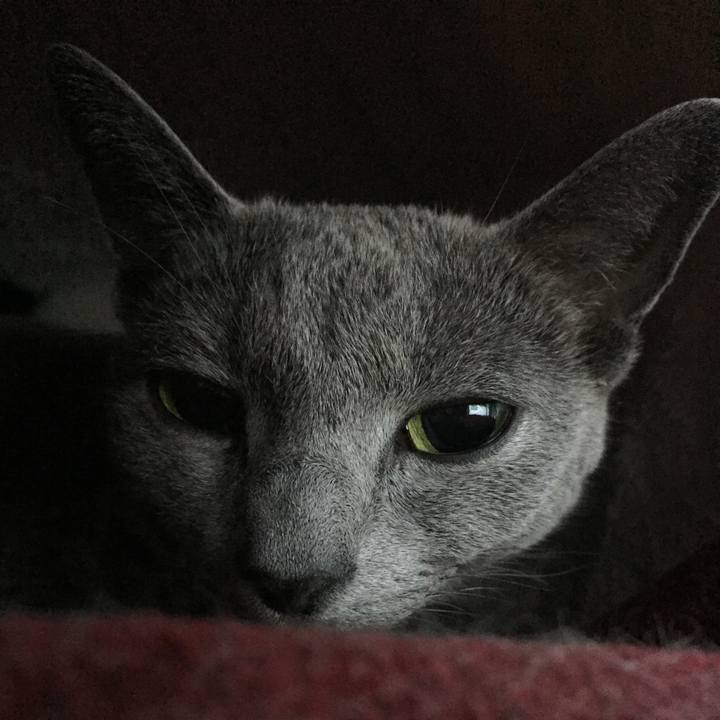 22dbdb82 b802 4d77 a056 99238d5c8ab3