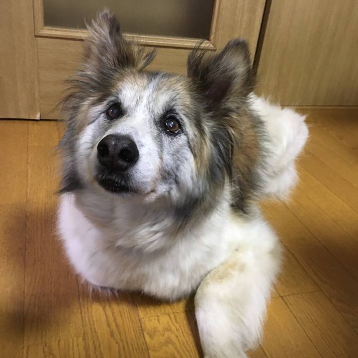 22dbf33e d9b2 4f94 b5fb 08c4f9b09eff