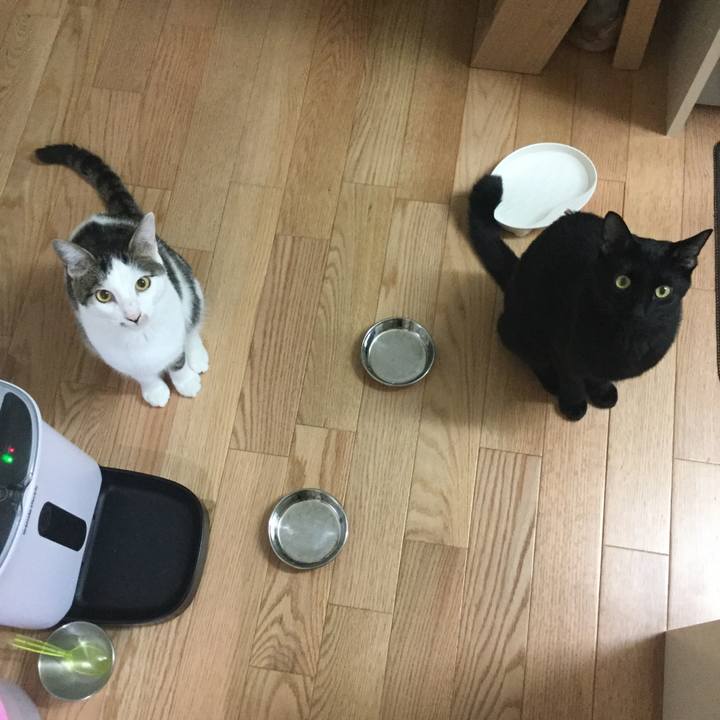 22dd3fa7 9526 468c b421 abc880754b45