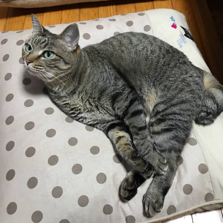 22ddb5e6 ab9b 4778 b60a 24d885494c6a