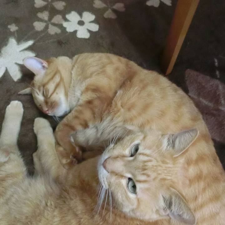 22de186e 777d 41d8 a84e 52f950dbcf3d