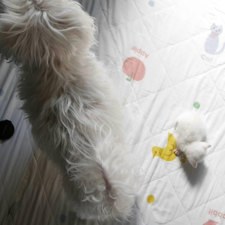 22de6805 f685 4475 bc06 8697d4af01f3