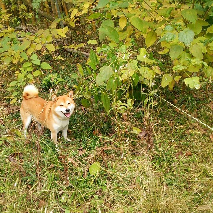 22de967b de3b 474a b6d1 16394c4ab86c