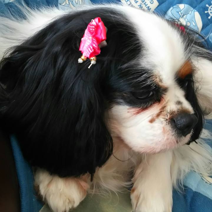 22dee39d 4c53 482b bf4a 81bc195495af