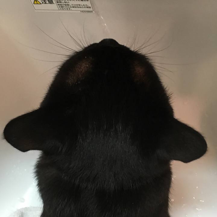 22dff165 f3fe 42b3 980f a22685ef8447