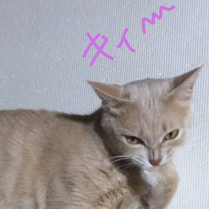 22e113d2 9080 43a1 8f74 db347e566114