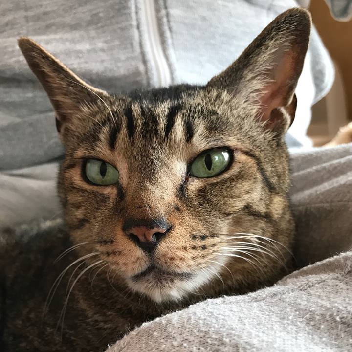 22e17dc1 bb61 414b 9ba3 b1cdc2c1b9d9