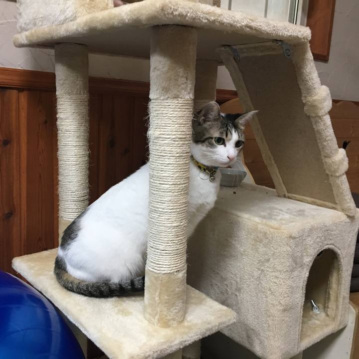 22e1d09f 3a59 4de5 8a56 5b969d79e98f