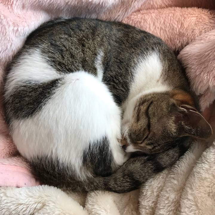 22e1f426 92e2 45ce 92a7 61c1afb93696